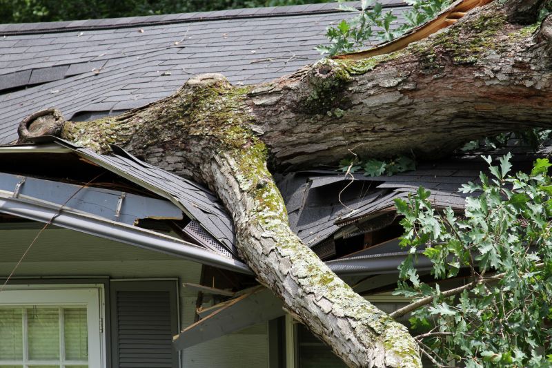 Storm Damage Restoration Service