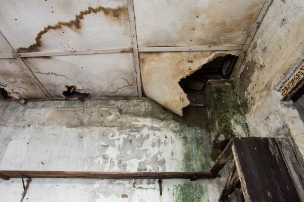 Water Damage Service