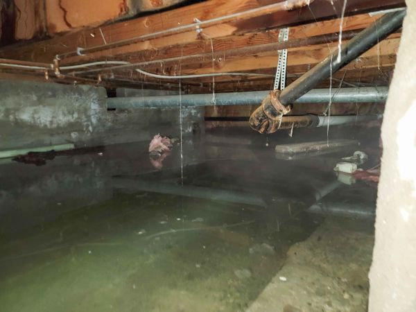 Water Mitigation Service