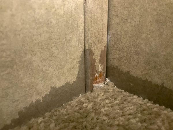 Wet Carpet Repair